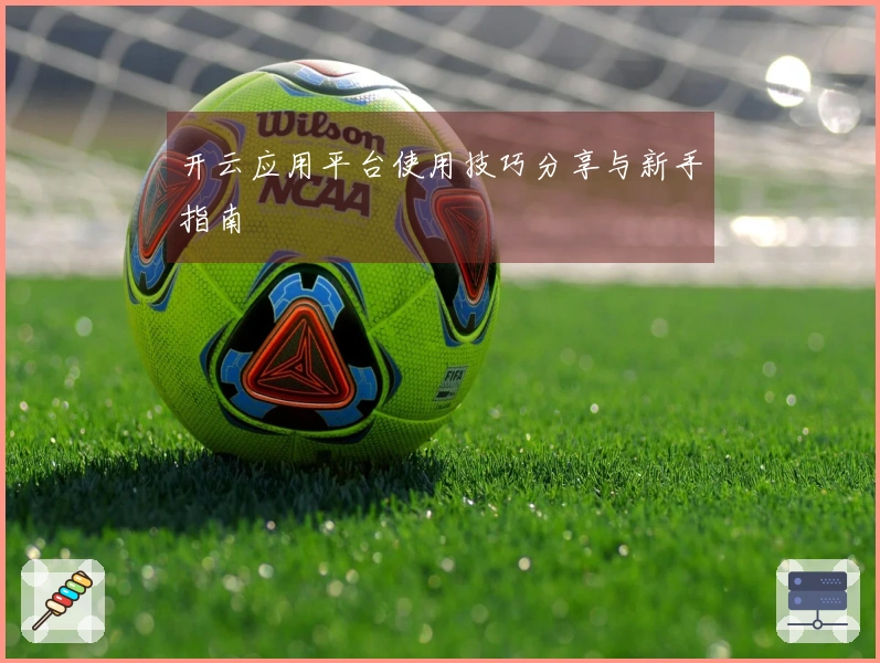 开云应用平台使用技巧分享与新手指南