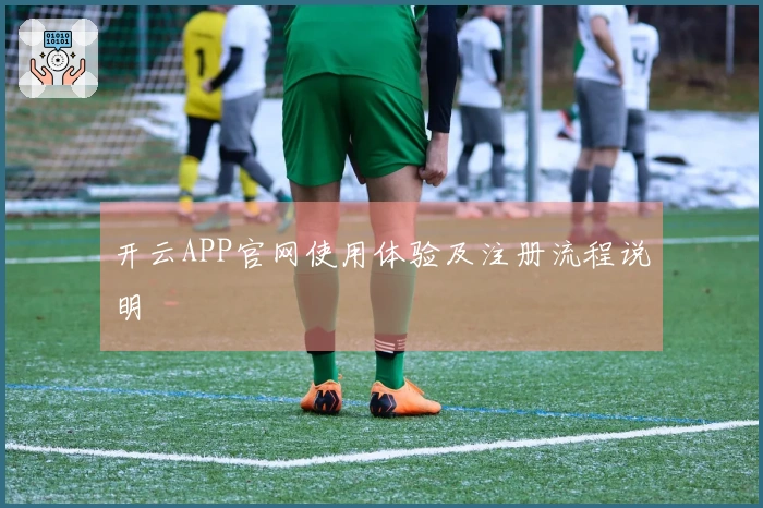 开云APP官网使用体验及注册流程说明