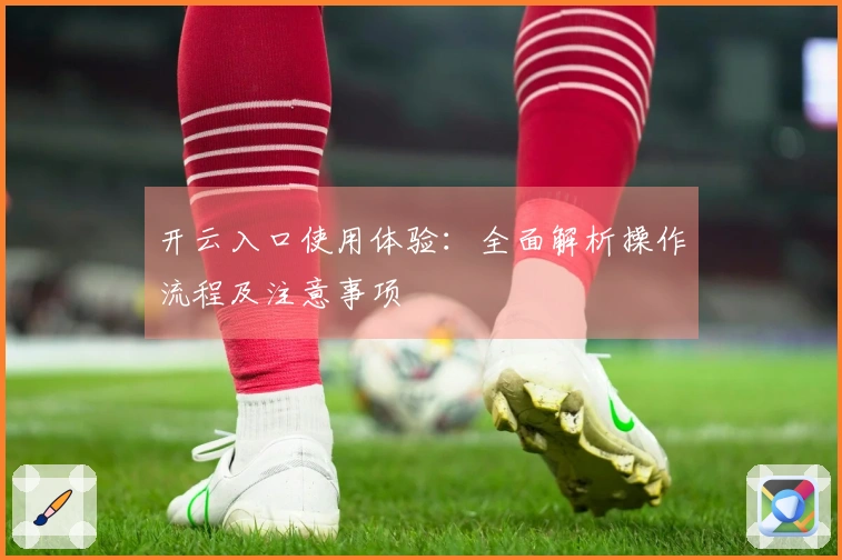 开云入口使用体验：全面解析操作流程及注意事项
