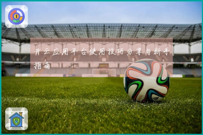 开云应用平台使用技巧分享与新手指南